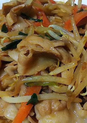豚ニラもやしの味噌炒め-レシピのメイン写真