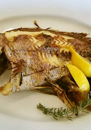 クロダイのオーブン焼き-レシピのメイン写真