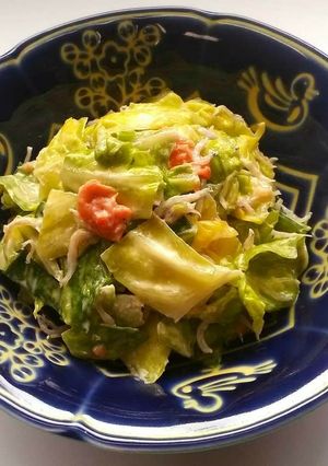 梅マヨちりめんキャベツ-レシピのメイン写真