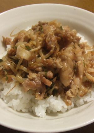 豚丼-レシピのメイン写真