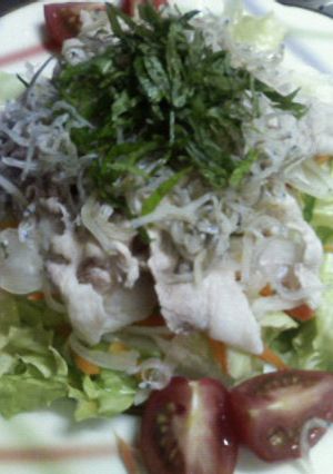 ♪冷しゃぶサラダ♪-レシピのメイン写真