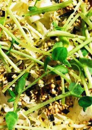 簡単カットキャベツと豆苗振りかけサラダ-レシピのメイン写真