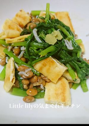 春菊と油揚げのジャコ納豆あえ-レシピのメイン写真