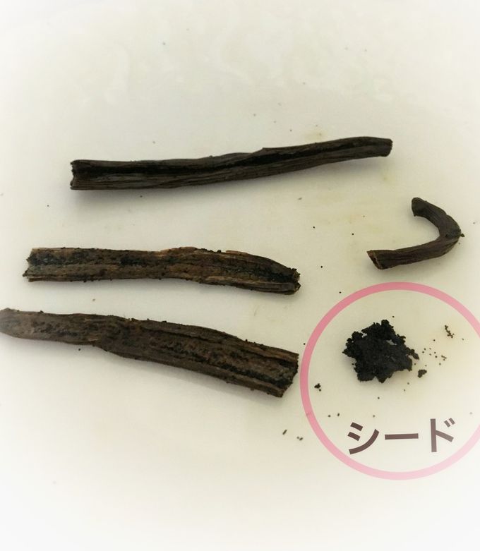 バニラビーンズの使い方 基本を詳しく-レシピのメイン写真