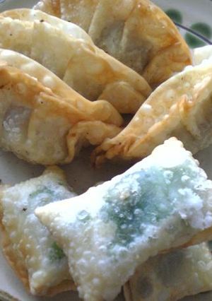 餃子じゃないよ(＾＾)コロッケだよ♪-レシピのメイン写真