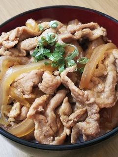 簡単豚丼-レシピのメイン写真