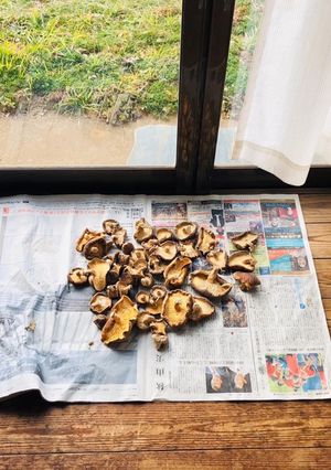 手作り干し椎茸-レシピのメイン写真