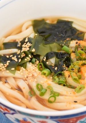 簡単なかけうどん-レシピのメイン写真