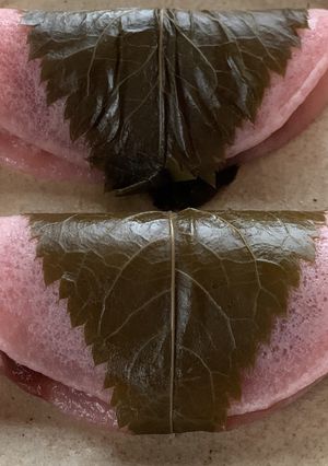 自家製　桜の葉塩漬け-レシピのメイン写真