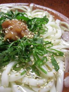 冷やしうどん~梅しそ風味~-レシピのメイン写真