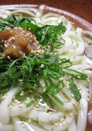 冷やしうどん~梅しそ風味~-レシピのメイン写真