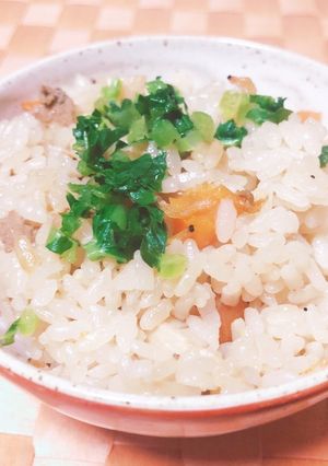 オキアミごはん-レシピのメイン写真