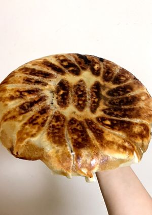 美味しい羽付き餃子-レシピのメイン写真