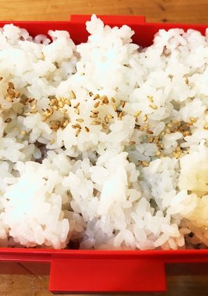 おかず埋蔵。。。発掘弁当-レシピのメイン写真