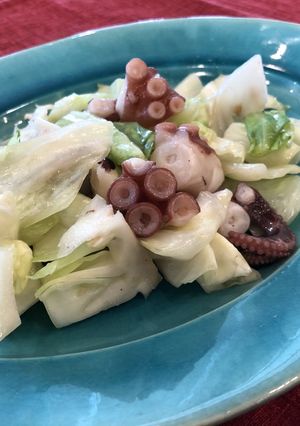 タコとキャベツの生姜醤油和え-レシピのメイン写真