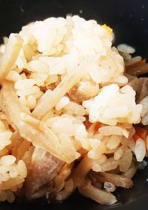 鶏ごぼう炊き込みご飯-レシピのメイン写真