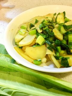 小松菜の根 カレー炒め-レシピのメイン写真