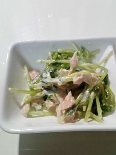 豆苗とツナのマヨ和え。-レシピのメイン写真