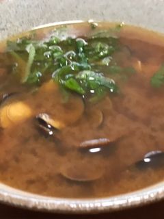 貧血♡二日酔い♡しじみの味噌汁-レシピのメイン写真