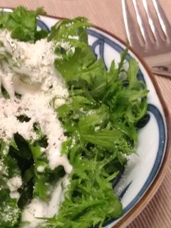 簡単!美味しい!わさび菜のサラダ-レシピのメイン写真