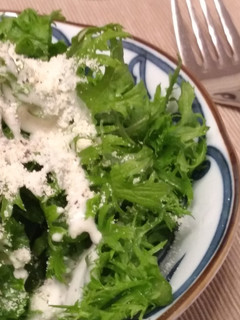 簡単!美味しい!わさび菜のサラダ-レシピのメイン写真
