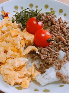 簡単三色そぼろご飯-レシピのメイン写真