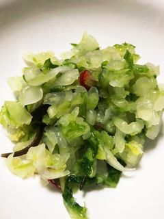 白菜の浅漬け-レシピのメイン写真