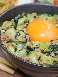 嫌いな人はいないでしょ♡餃子の中身丼★-レシピのメイン写真