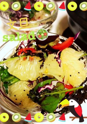 文旦サラダ-レシピのメイン写真