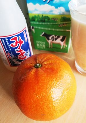 タンカン×みき×牛乳で飲みやすい健康飲料-レシピのメイン写真
