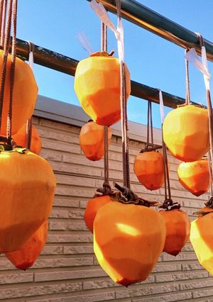 柔らか干し柿の作り方-レシピのメイン写真
