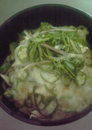 ネバネバ☆オクラやまかけうどん-レシピのメイン写真
