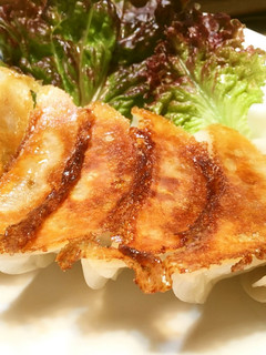 豆腐入り餃子-レシピのメイン写真