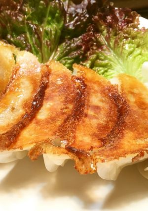 豆腐入り餃子-レシピのメイン写真