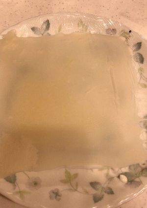 レンジで簡単、手作り春巻きの皮ミニサイズ-レシピのメイン写真