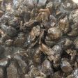 鶏レバーの赤ワイン煮