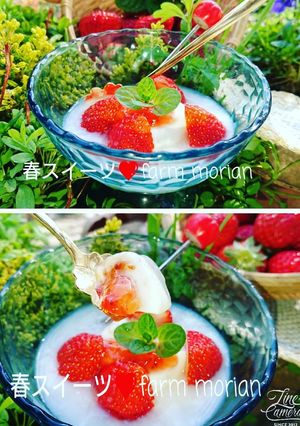 台湾トウファ風❤️甘酒で春スイーツ-レシピのメイン写真