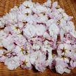 桜の花の塩漬け☆5