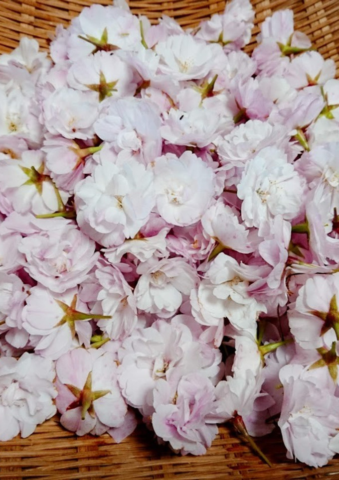 桜の花の塩漬け☆5-レシピのメイン写真