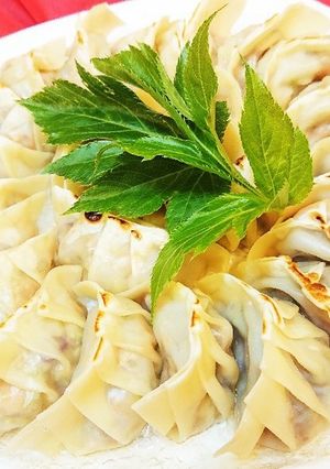 生姜入り明日葉とツナ缶のヘルシー餃子♪-レシピのメイン写真