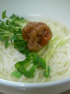 【HOTでもICEでも】さっぱりソーメン-レシピのメイン写真