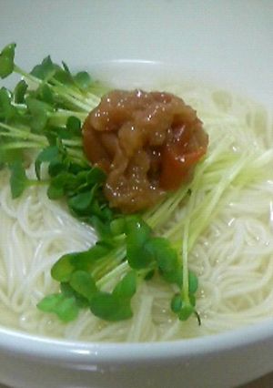 【ＨＯＴでもＩＣＥでも】さっぱりソーメン-レシピのメイン写真