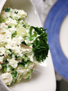 お野菜&薬味でいただくお豆腐ご飯-レシピのメイン写真