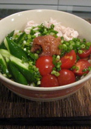夏にピッタリ！梅ささみうどん-レシピのメイン写真