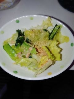 レタスと小松菜のツナ中華サラダ-レシピのメイン写真