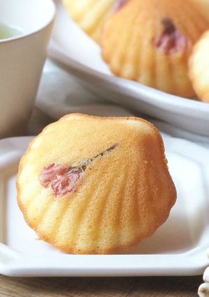 桜のチーズマドレーヌ♡春スイーツ✿-レシピのメイン写真