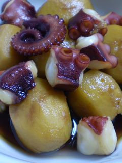 タコと里芋の煮物-レシピのメイン写真
