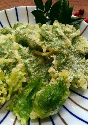 フキノトウと葉っぱの天ぷら-レシピのメイン写真