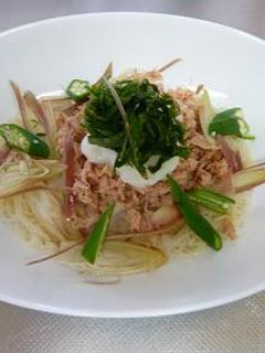 薬味たっぷりそうめん-レシピのメイン写真