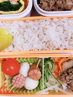 娘のお弁当17★-レシピのメイン写真